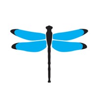 Dragonfly Digital Marketing SEO Company Logo