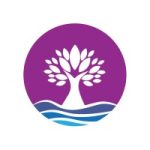 Saluda Digital Marketing logo
