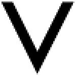 Village Marketing Co logo